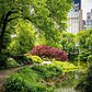 Central Park, Manhattan