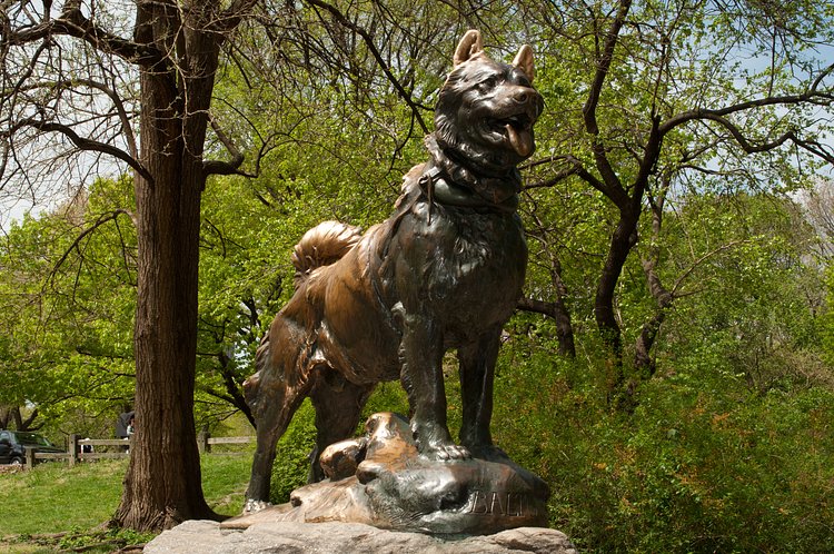NYC 2012-0014 | Central Park - Balto Statue