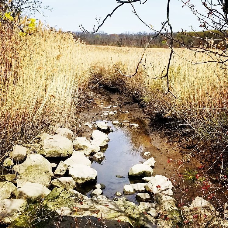 Freshkills Park, Staten Island