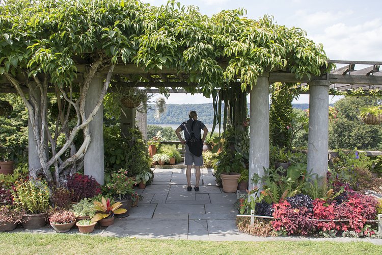 Wave Hill | Photo: Brent Terry for The Bronx Bohemian / Viewing NYC