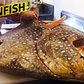Breaking Down A Giant Moonfish At Greenpoint Fish & Lobster Co. — Snack Break
