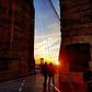 Brooklyn Bridge, New York, New York. Photo via @qwqw7575 #viewingnyc #newyork #newyorkcity #nyc #brooklynbridge #manhattanbridge #sunrise