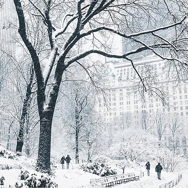 Currently, in #NYC. Stay warm and safe, the store is closed today and will re-open tomorrow. [photo @jssilberman]