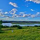 Freshkills Park, Staten Island