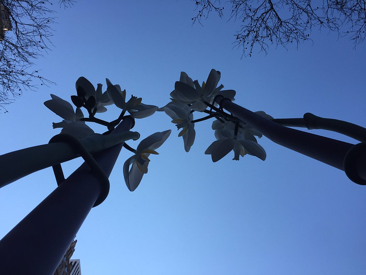 Two Orchids - Isa Genzken