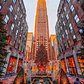 Rockefeller Center Christmas Tree, New York, New York