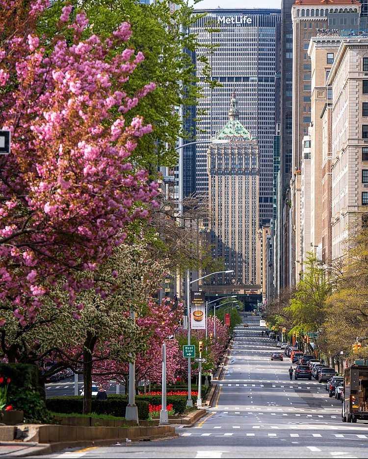 Park Avenue and Helmsley Building, Midtown, Manhattan