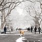 The Mall in Central Park, Manhattan