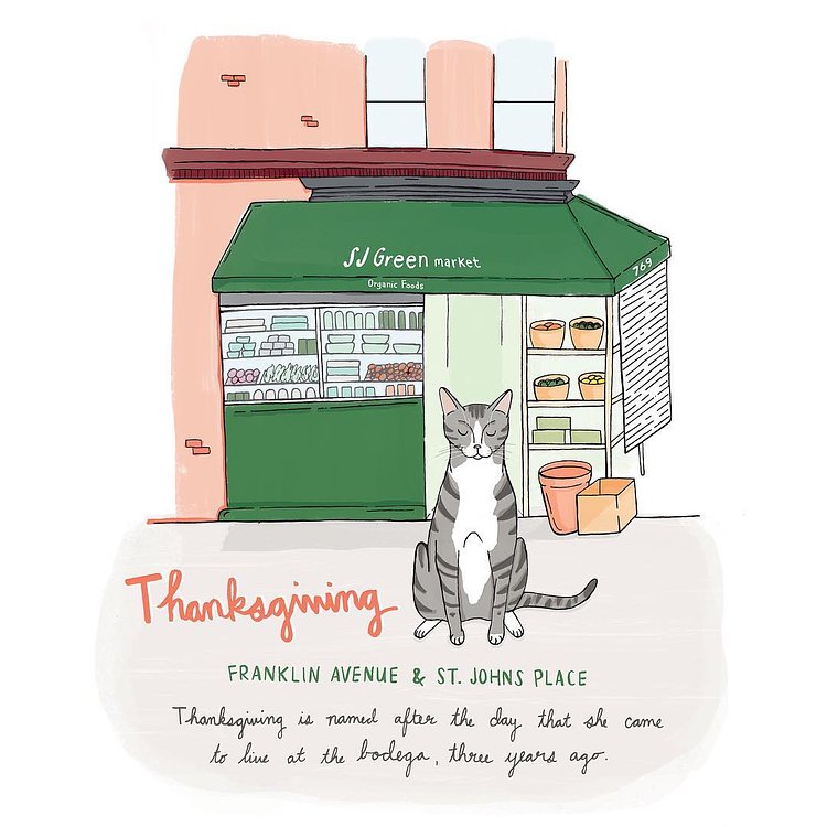 Thanksgiving // Crown Heights, Brooklyn