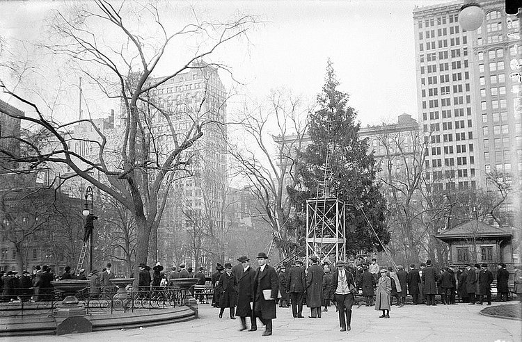 104 years ago, the nation’s first public Christmas tree went up in Madison Square Park