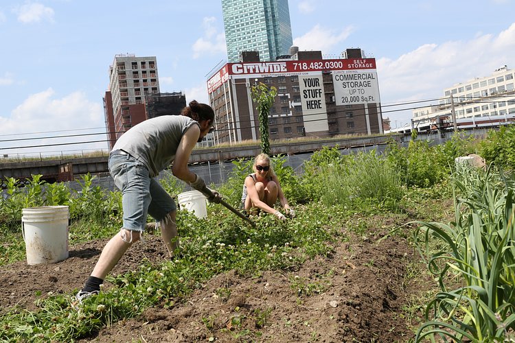 Working | Smiling Hogshead Ranch, Queens, New York