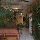 500 Plants in one NYC apartment | Neighbors