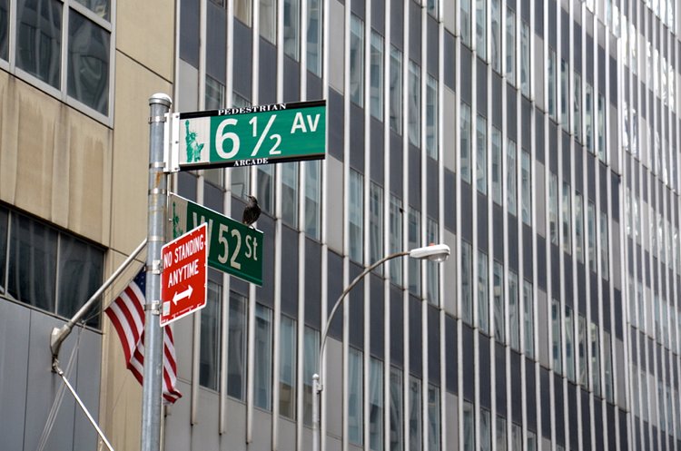 6 1/2 | NYC, dec 2012