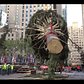 Putting up the Rockefeller Christmas Tree 🎄 | Curbed