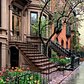 Park Slope, Brooklyn. Photo via @madufault #viewingnyc #nyc #newyork #newyorkcity #rain