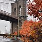 Brooklyn Bridge, DUMBO, Brooklyn