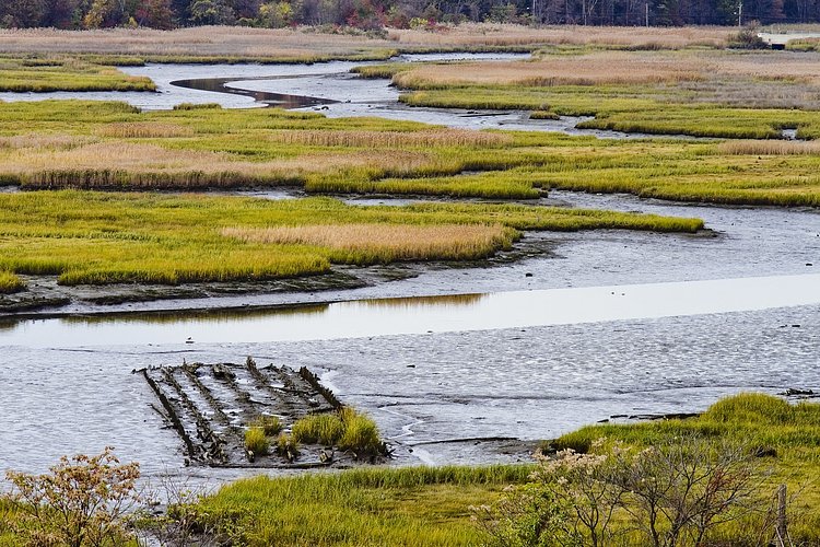 Fresh Kills, Staten Island