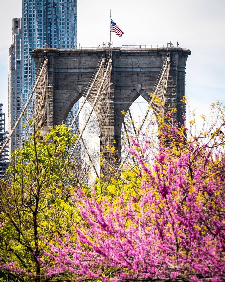 Brooklyn Bridge, Brooklyn