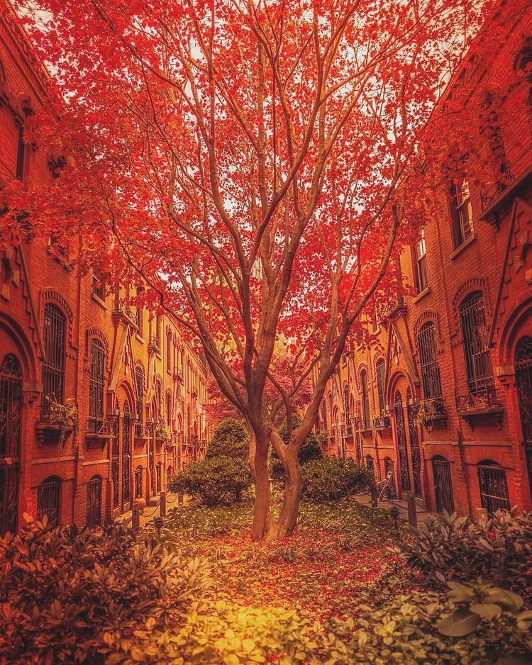 Cobble Hill Historic District, Brooklyn