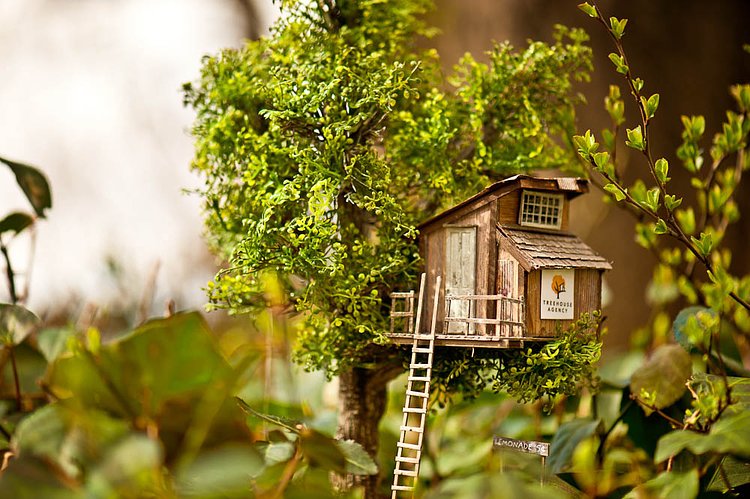 Treehouse Mini in the Park