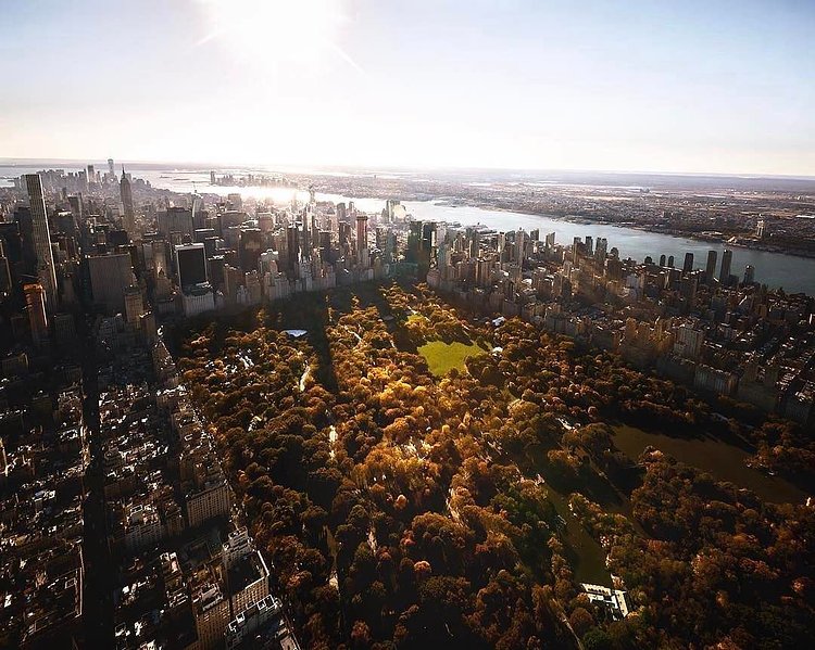 Photo via @beholdingeye 
#viewingnyc