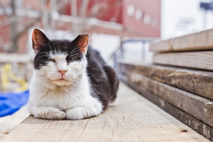 r_140419034_beat0010_a