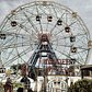 Wonder Wheel | Coney Island