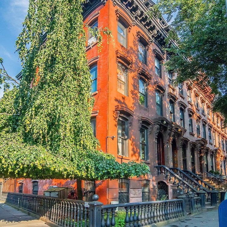 Fort Greene, Brooklyn