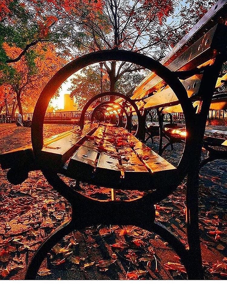 Favorite time of year. 🍂🌇#fall #nyc