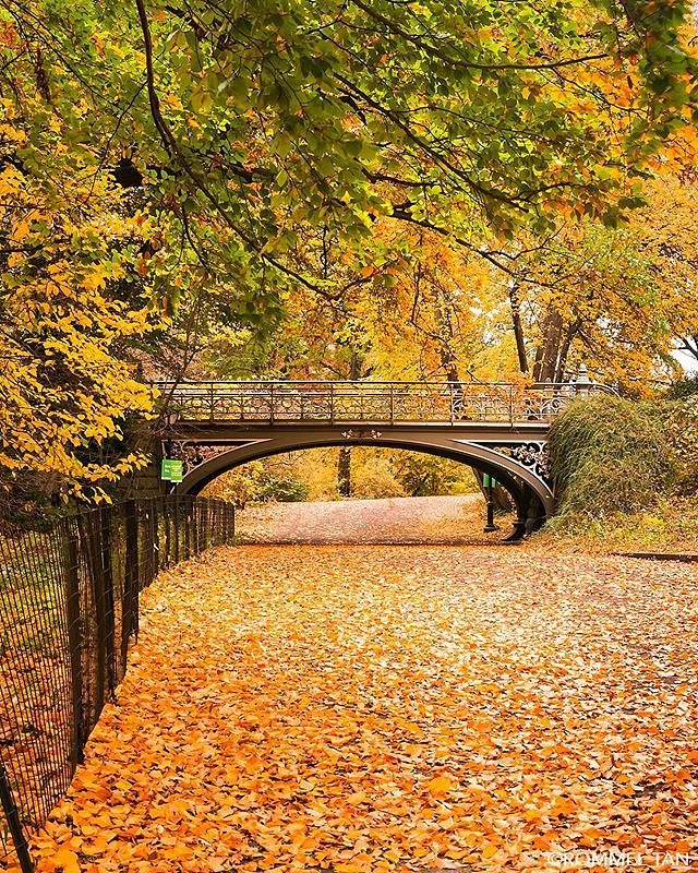 Central Park, Manhattan