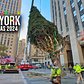 Installation Of NYC Rockefeller Center Christmas Tree 2024 ✨ New York City Christmas 2024 🌲