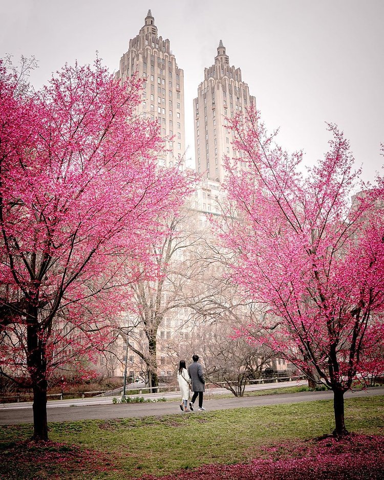 Central Park, Manhattan