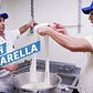 The King of Handmade Mozzarella is in the Bronx — Dining on a Dime