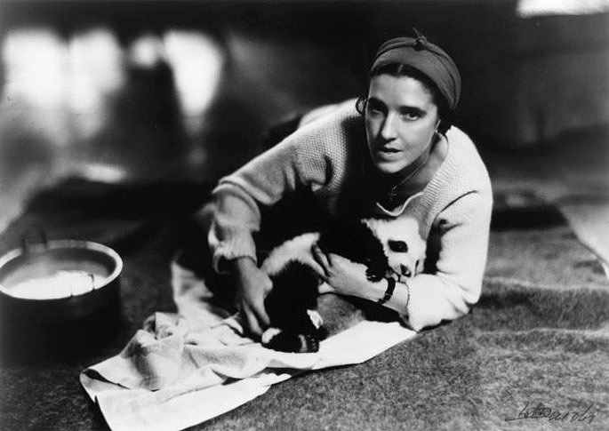 The First Panda Ever in the U.S. Lived in a NYC Apartment