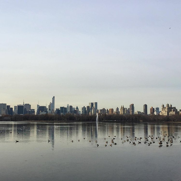 We made it! Who's ready for a warm weekend in the Park? #friYAY #centralparkmoments