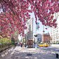 Spring in Flatiron District, Manhattan
