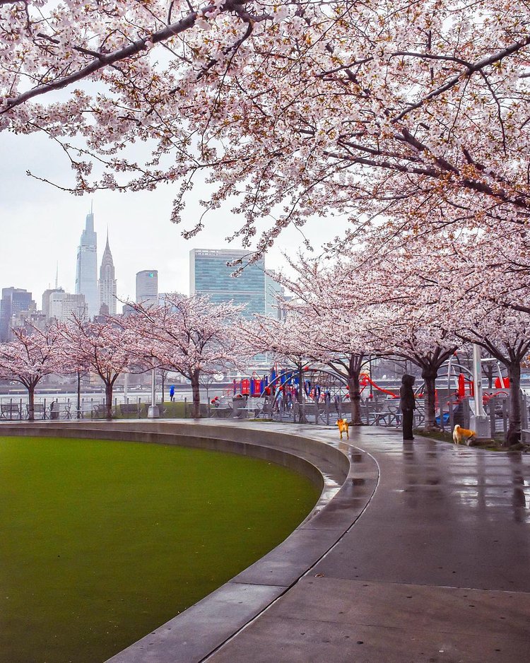 Hunter's Point South Park, Hunter's Point, Queens