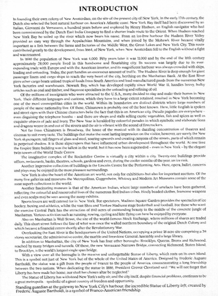 New York - A Picture Book to Remember Her By