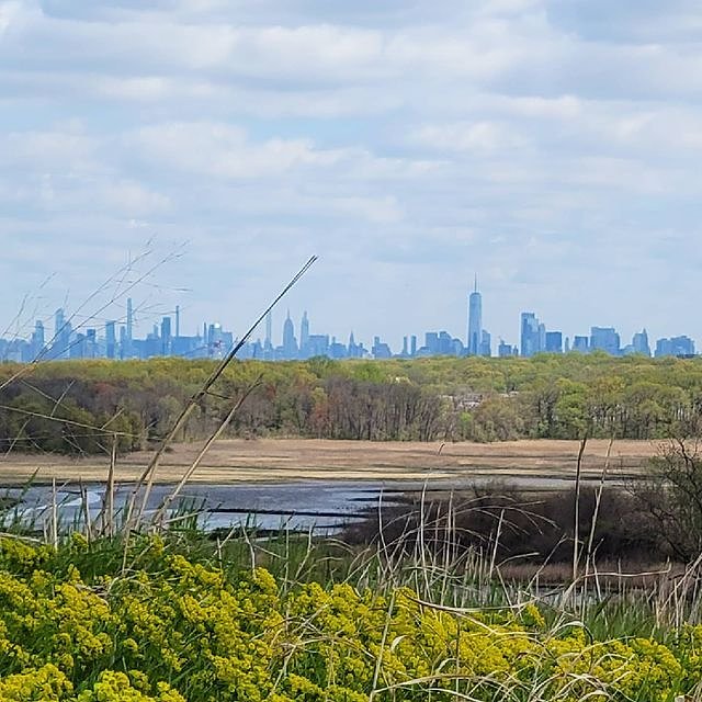 Manhattan Skyline from Freshkills Park, Staten Island