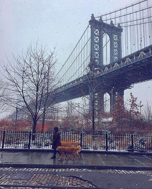 Photo via @fallinginlovewithnyc 
Manhattan Bridge

#viewingnyc
