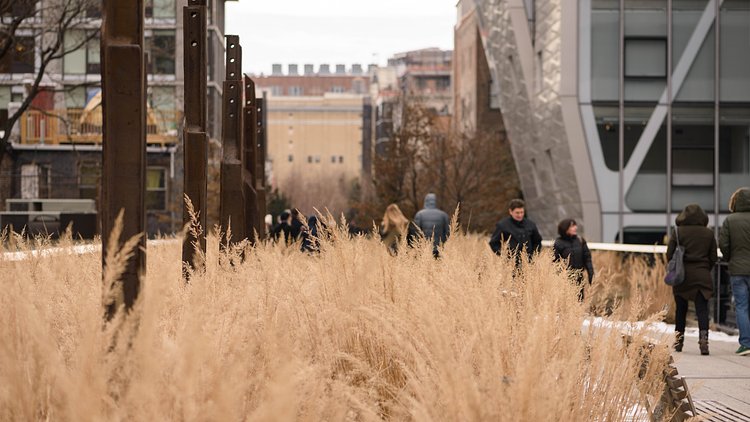Common Crossings (9/365) | High Line art stands tall in spite of snow on the ground.