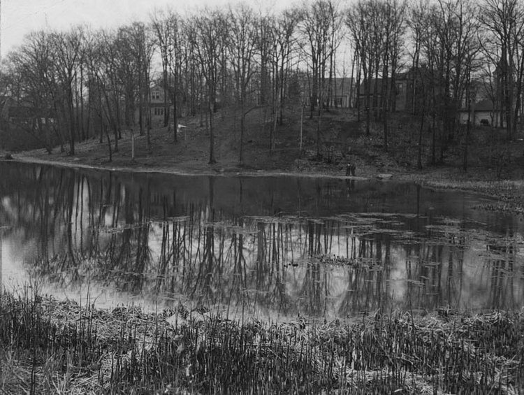 Jacks Pond, located in Great Kills, was to be drained by borough president's engineers plan.