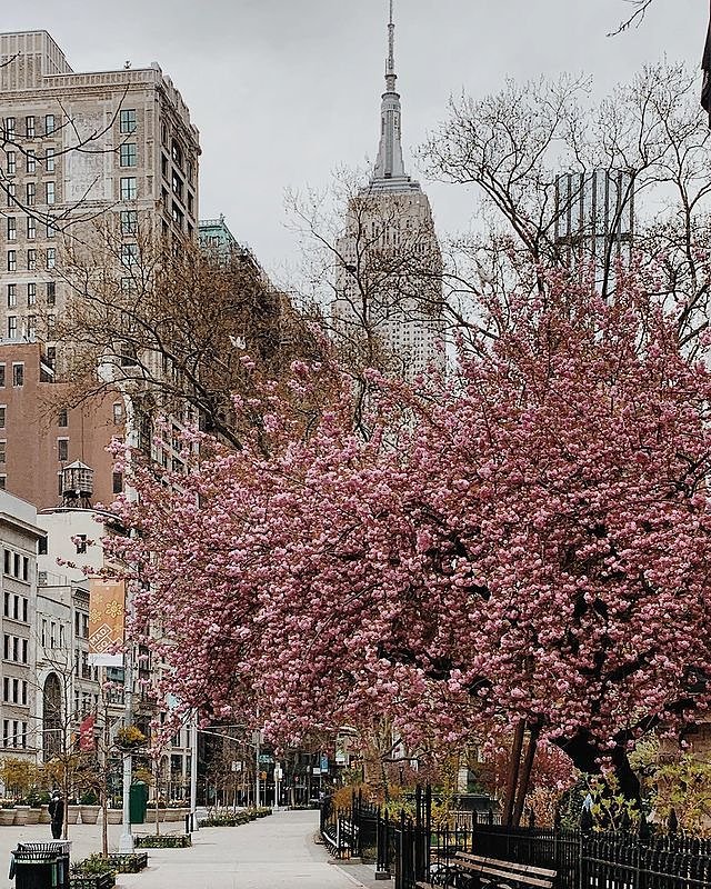Madison Square Park, Flatiron District, Manhattan