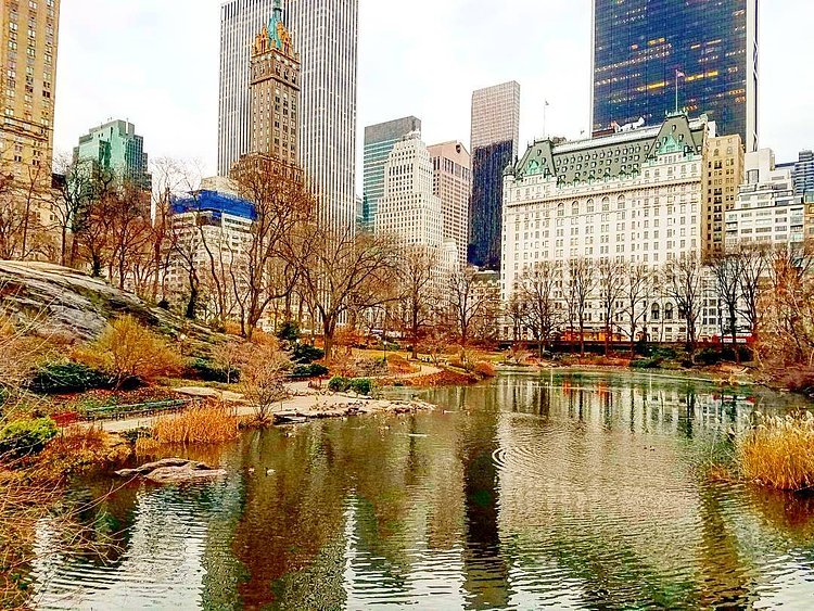 Central Park Winter - Feliz Natal