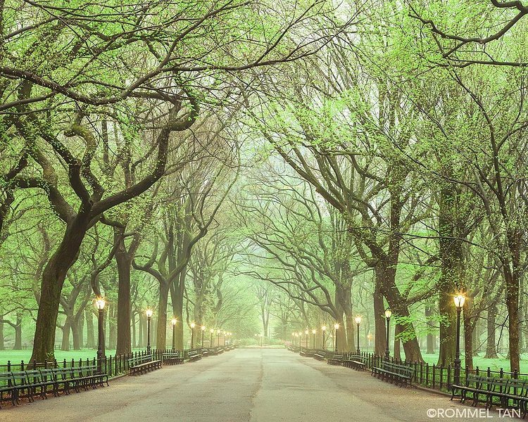 The Mall in Central Park, Manhattan