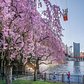 Roosevelt Island, Manhattan