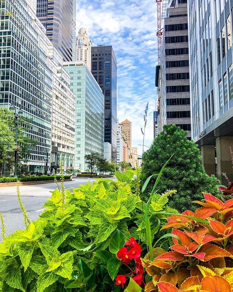 Park Avenue, Manhattan