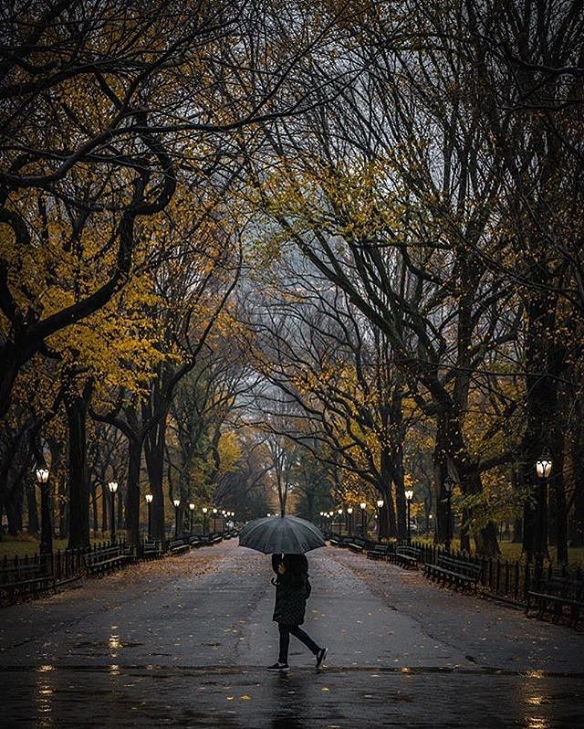 Photo via @212sid 
#viewingnyc