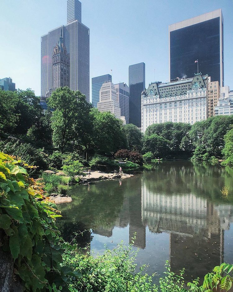 Central Park, New York, New York