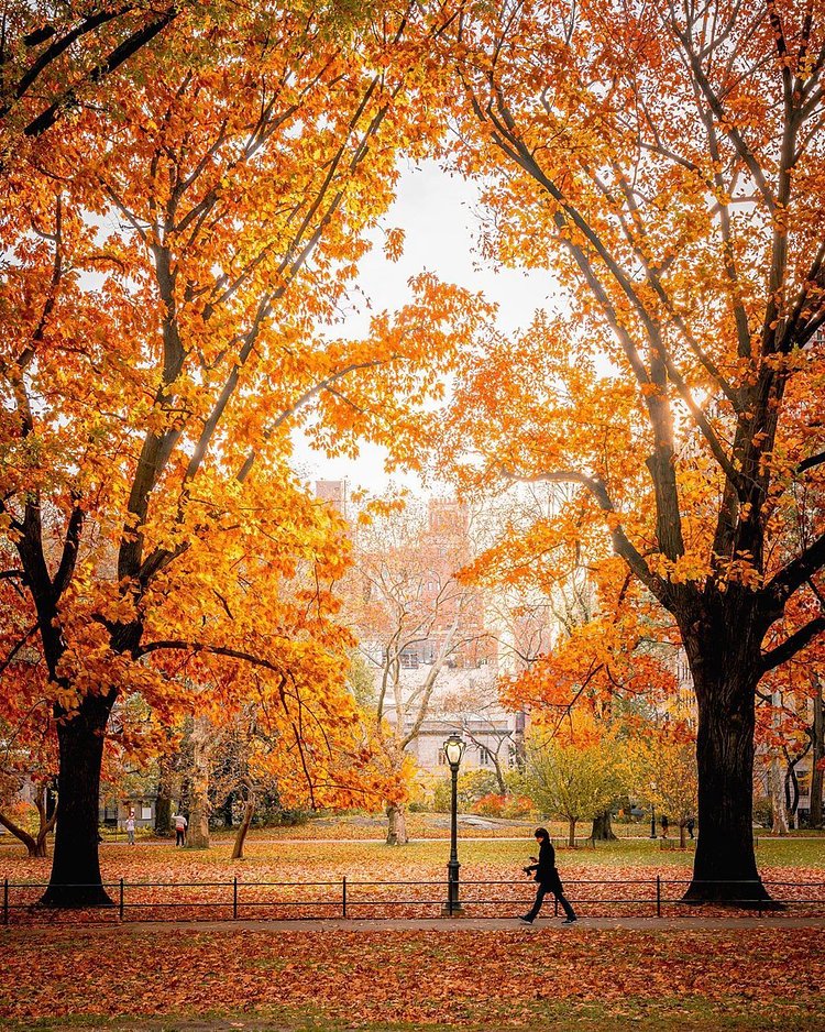 Central Park, Manhattan